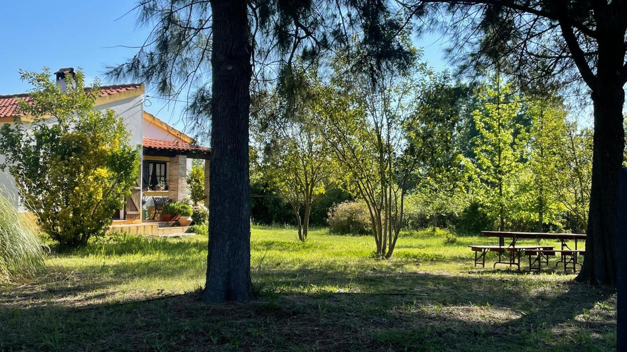 Quinta Dos Trevos - Artes E Oficios Villa Ladoeiro Eksteriør billede