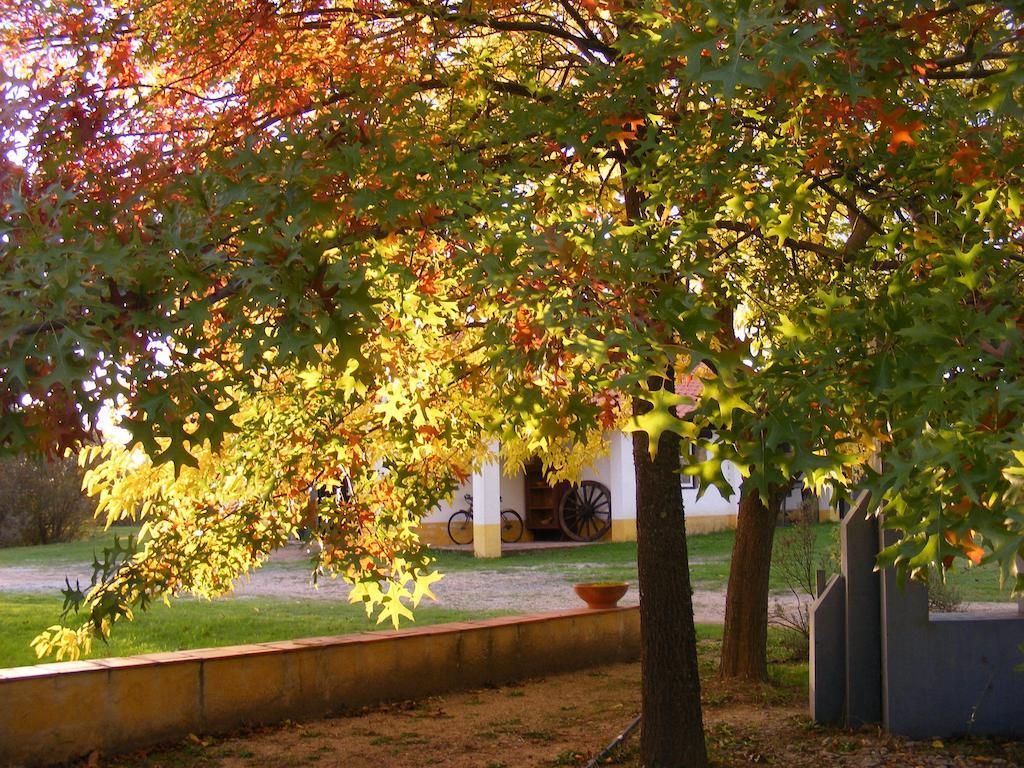 Quinta Dos Trevos - Artes E Oficios Villa Ladoeiro Eksteriør billede