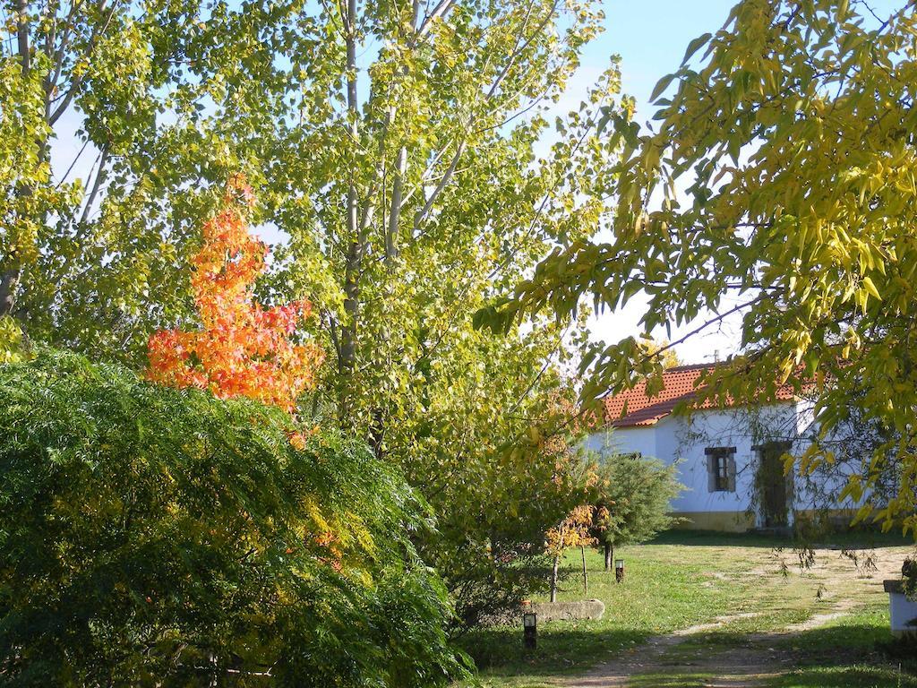 Quinta Dos Trevos - Artes E Oficios Villa Ladoeiro Eksteriør billede