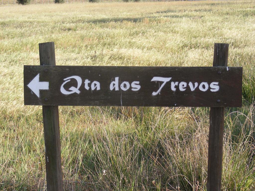 Quinta Dos Trevos - Artes E Oficios Villa Ladoeiro Eksteriør billede